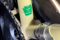 Rad Deluxe Tune Up | Lancaster, PA