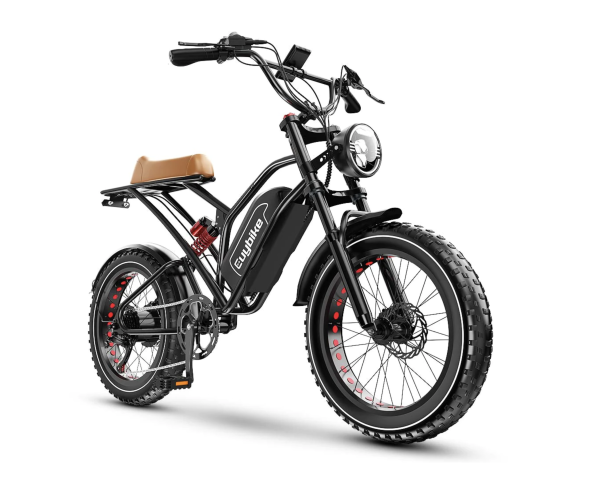 EUY Electric Bike 1000W Motor 48V 25Ah Removable Battery Ebike