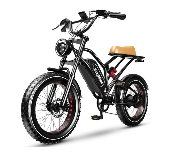 EUY Electric Bike 1000W Motor 48V 25Ah Removable Battery Ebike