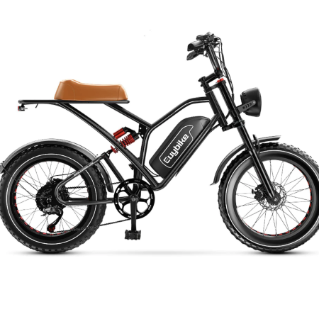 EUY Electric Bike 1000W Motor 48V 25Ah Removable Battery Ebike
