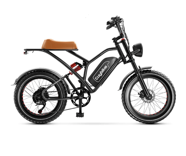 EUY Electric Bike 1000W Motor 48V 25Ah Removable Battery Ebike