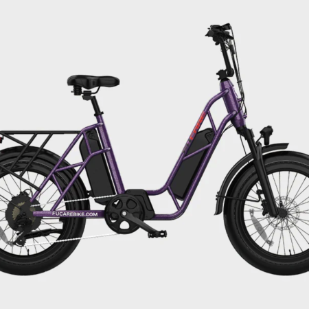Fucare Electric Bike,Gemini/Gemini X Dual Samsung Battery 30AH,750W 48V