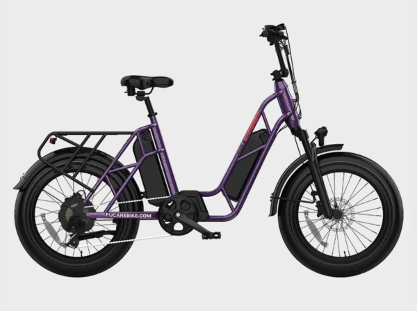 Fucare Electric Bike,Gemini/Gemini X Dual Samsung Battery 30AH,750W 48V