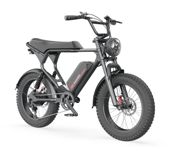 The Ultimate Full Suspension Macfox-X2