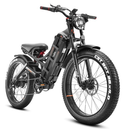 eAhora Romeo Pro 1200W 60Ah Electric Bike