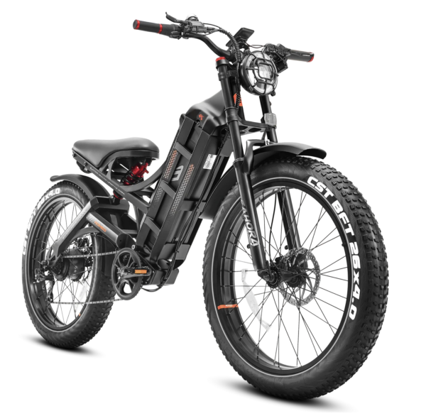 eAhora Romeo Pro 1200W 60Ah Electric Bike