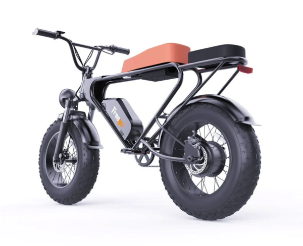 Freego DK200 Off Road Mountain Electric Bike 20'' Fat tires 1200W Powerful Motor 20Ah Lithium Battery