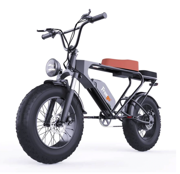 Freego DK200 Off Road Mountain Electric Bike 20'' Fat tires 1200W Powerful Motor 20Ah Lithium Battery